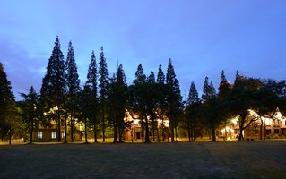 公开信息按发布时间滚动