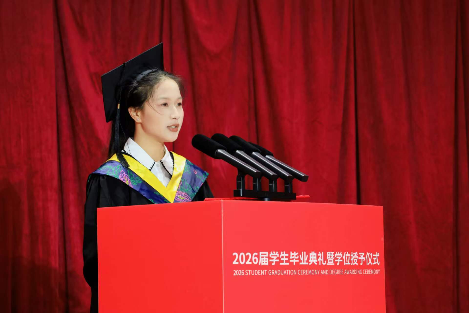 公开信息按发布时间滚动